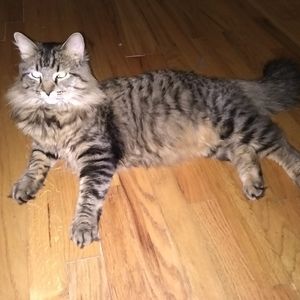 Meet your Posher, Debbie